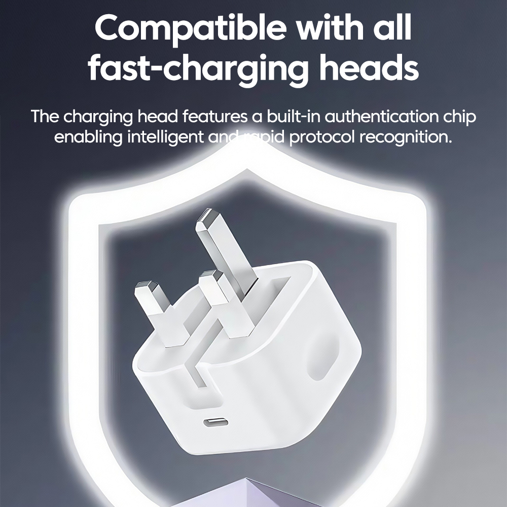 British standard charger 25W S - Travel Accessories Inc review and price